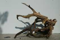 Wood_1_1.jpg