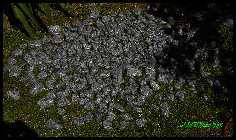 Granitkies.jpg