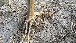 20140227_163234.jpg