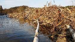 20140227_163711.jpg