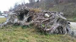 IMG-20171125-WA0012-1024x576.jpg