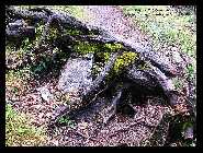 IMG_9764.jpg