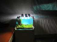 P7100036 (800 x 600).jpg