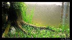 comp_P7060025 (800 x 600)xd.jpg