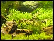 BILD0006 [50%] [50%].jpg