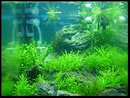 DSC03072 [50%].jpg
